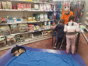Foto dell’evento «Carnevale micioso e festa del gatto», n. 3