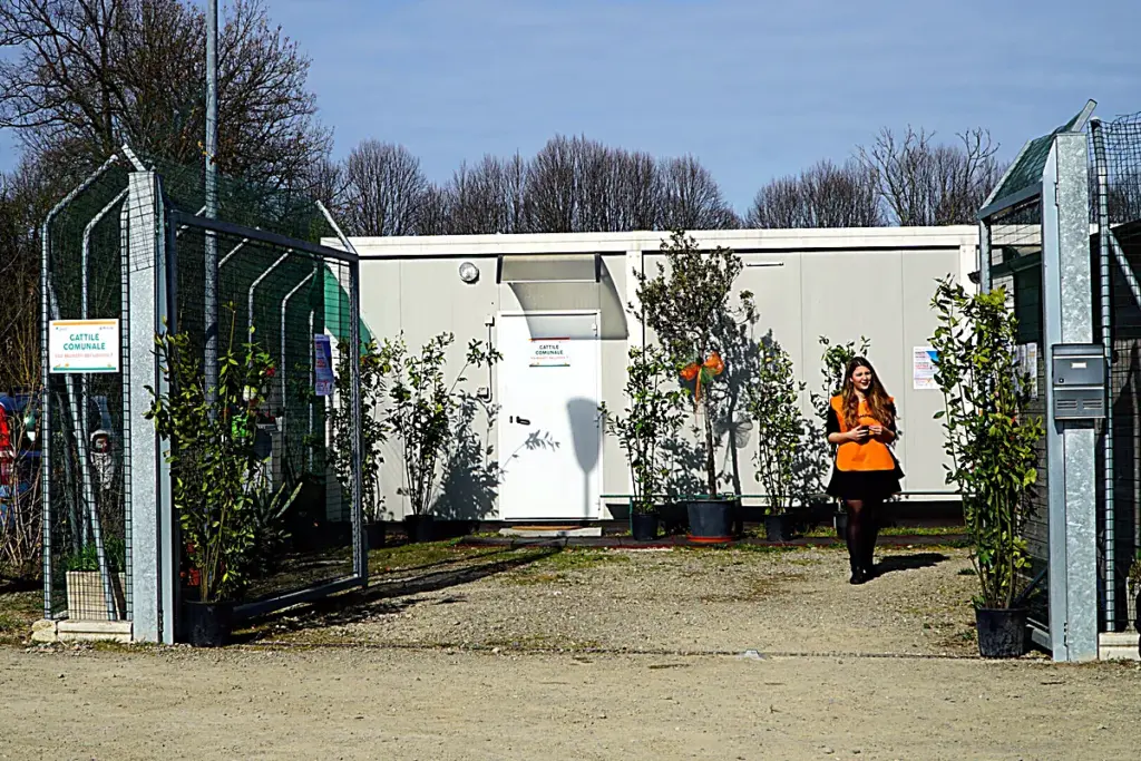 La sede del gattile in via Maestri del Lavoro, con i recinti e gli alberi