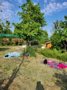 Foto dell’evento «Festa di Primavera», n. 1