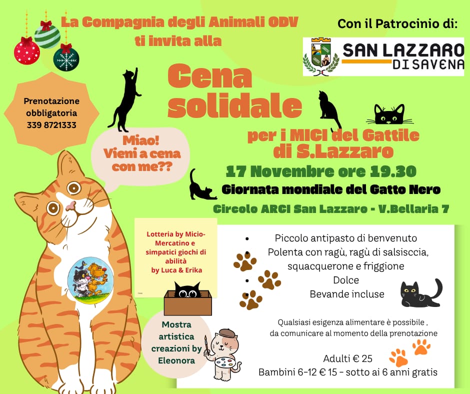 Volantino della Cena del gattile del 17 novembre 2025