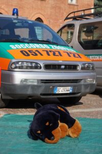 Foto dell’evento «Giornata dedicata agli animali», n. 10