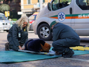 Foto dell’evento «Giornata dedicata agli animali», n. 18