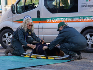 Foto dell’evento «Giornata dedicata agli animali», n. 21