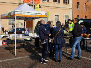 Foto dell’evento «Giornata dedicata agli animali», n. 23