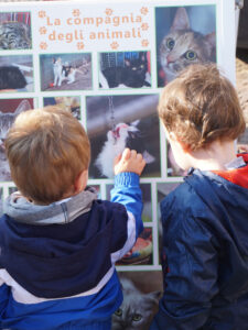 Foto dell’evento «Giornata dedicata agli animali», n. 24