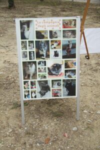 Foto dell’evento «Inaugurazione parco LungoSavena», n. 5