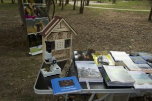 Foto dell’evento «Inaugurazione parco LungoSavena», n. 16