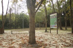 Foto dell’evento «Inaugurazione parco LungoSavena», n. 18