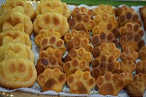 Foto dell’evento «Savena in gioco», n. 7
