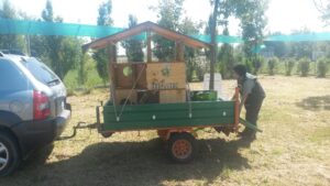 Foto dell’evento «Un regalo speciale», n. 9
