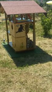 Foto dell’evento «Un regalo speciale», n. 16