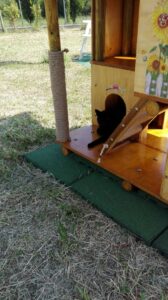 Foto dell’evento «Un regalo speciale», n. 24