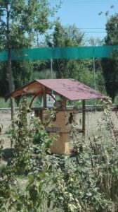 Foto dell’evento «Un regalo speciale», n. 27